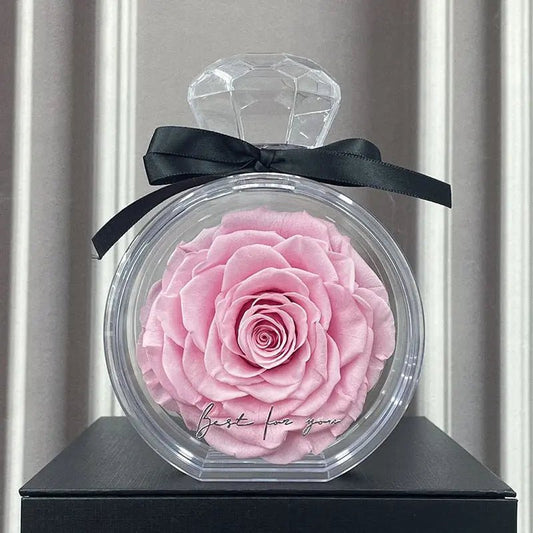 Natural Eternal Flower Ornaments Transparent Cover Dried Rose Gift Box For Christmas New Year Valentine's Day Home Decor Pink