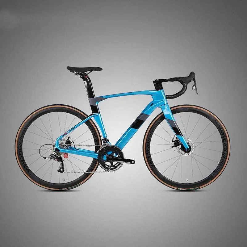 Fully Hidden Carbon Fiber Disc Brake Road Car Variable Speed Sports Racing Sky blue