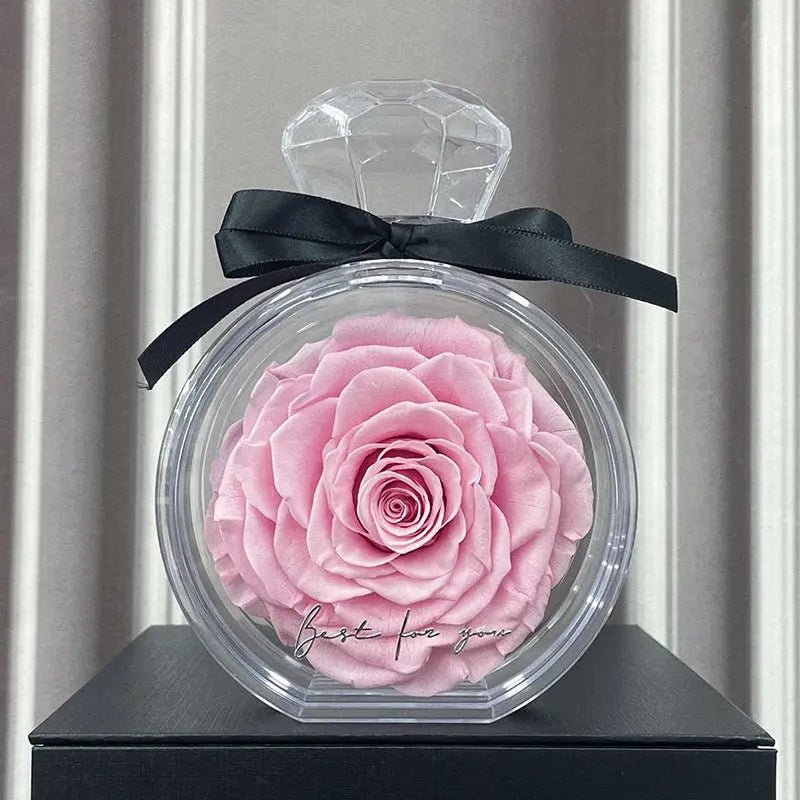 Natural Eternal Flower Ornaments Transparent Cover Dried Rose Gift Box For Christmas New Year Valentine's Day Home Decor Pink
